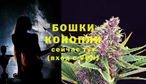 spice Осташков